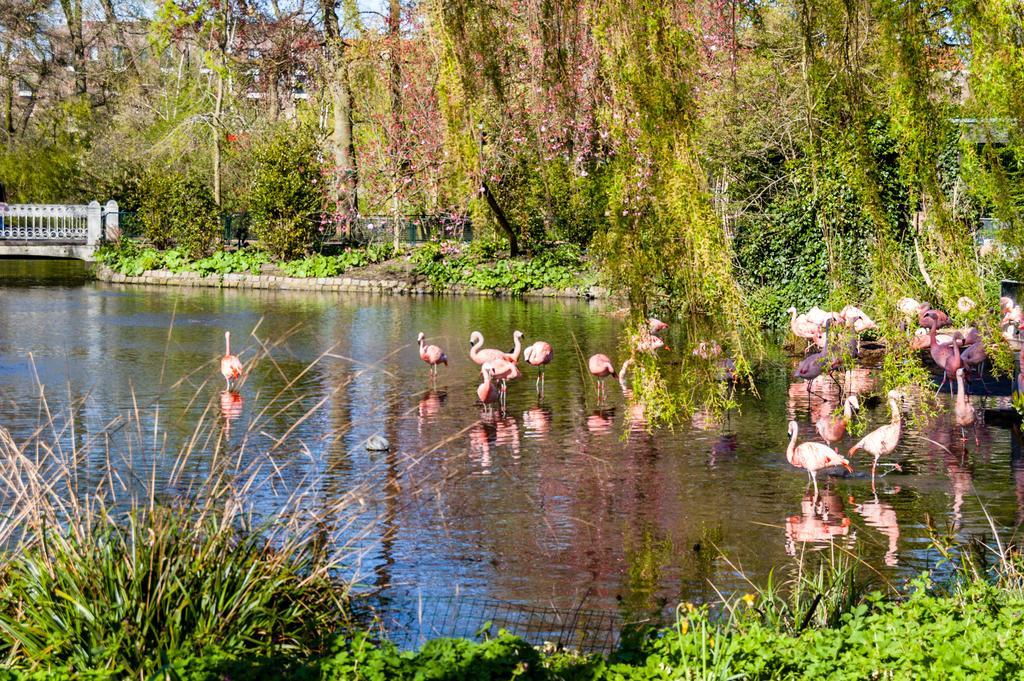 Hotel Park Plantage Amsterdam Exteriör bild